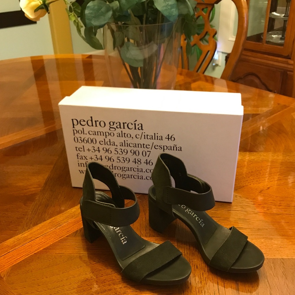 Pedro Garcia Block Heel Suede Sandals Size 35.5